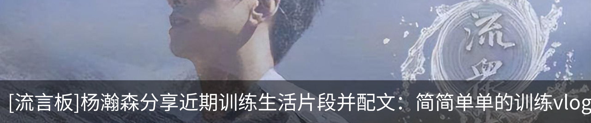 新闻动态